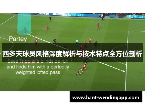 西多夫球员风格深度解析与技术特点全方位剖析 西多夫球员风格深度解析与技术特点全方位剖析