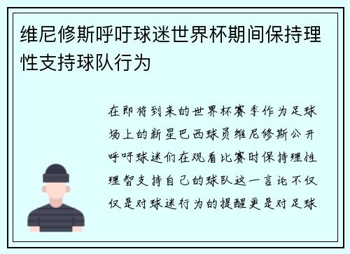 维尼修斯呼吁球迷世界杯期间保持理性支持球队行为